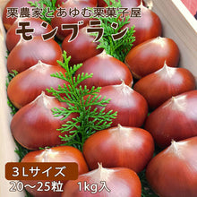 画像をギャラリービューアに読み込む, 【愛媛県産】大きな生栗 サイズ3L以上 1kg入 送料込 ※注文締め切り9月10日まで