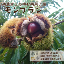 画像をギャラリービューアに読み込む, 【愛媛県産】大きな生栗 サイズ3L以上 1kg入 送料込 ※注文締め切り9月10日まで