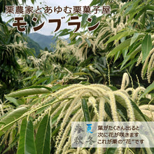画像をギャラリービューアに読み込む, 【愛媛県産】大きな生栗 サイズ3L以上 2kg入 送料込 ※注文締め切り9月10日まで
