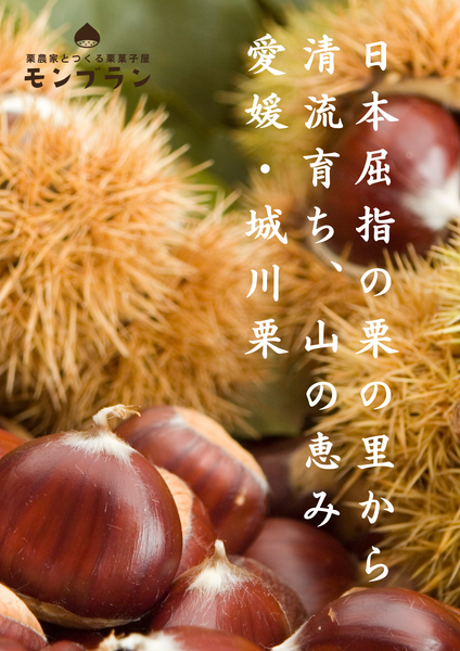 新潟伊勢丹さまにて初催事が始まります(^▽^)/