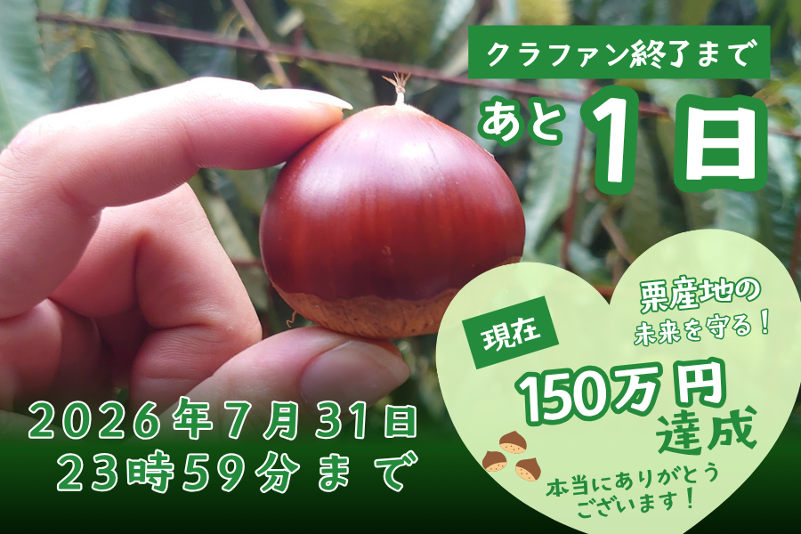 いよいよ明日が最終日☆１５９名の支援者の皆さまへ、感謝を込めて