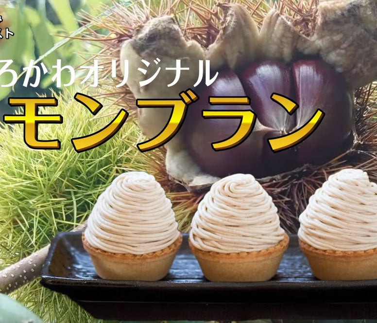 プロモーション動画