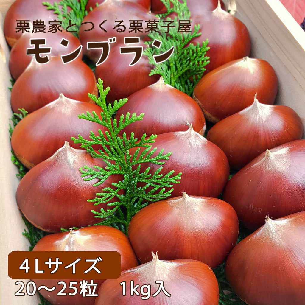 【愛媛県産】規格外の大きな生栗 サイズ4L 1kg入 送料無料 ※限定