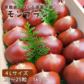 【愛媛県産】規格外の大きな生栗 サイズ4L 1kg入 送料無料 ※限定