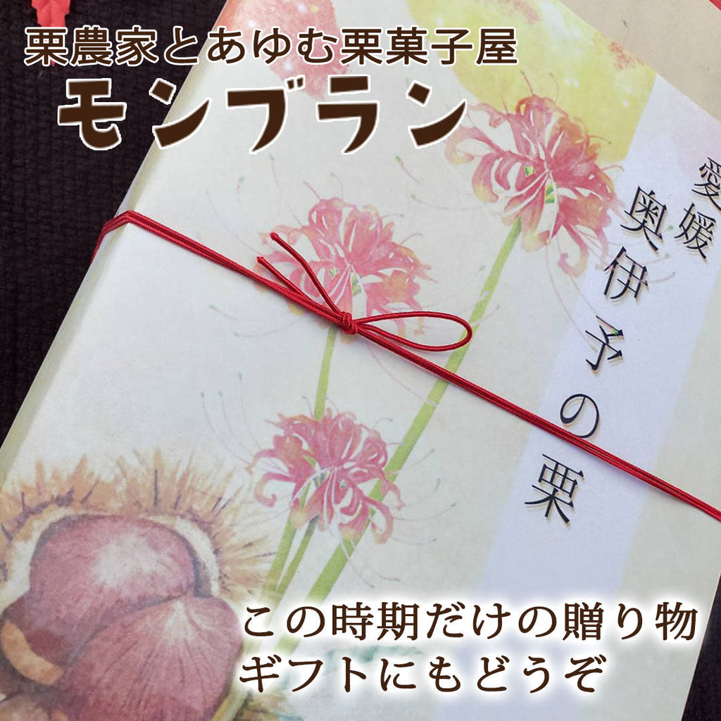【愛媛県産】規格外大きな生栗 サイズ4L 2kg入 送料無料 ※個数限定