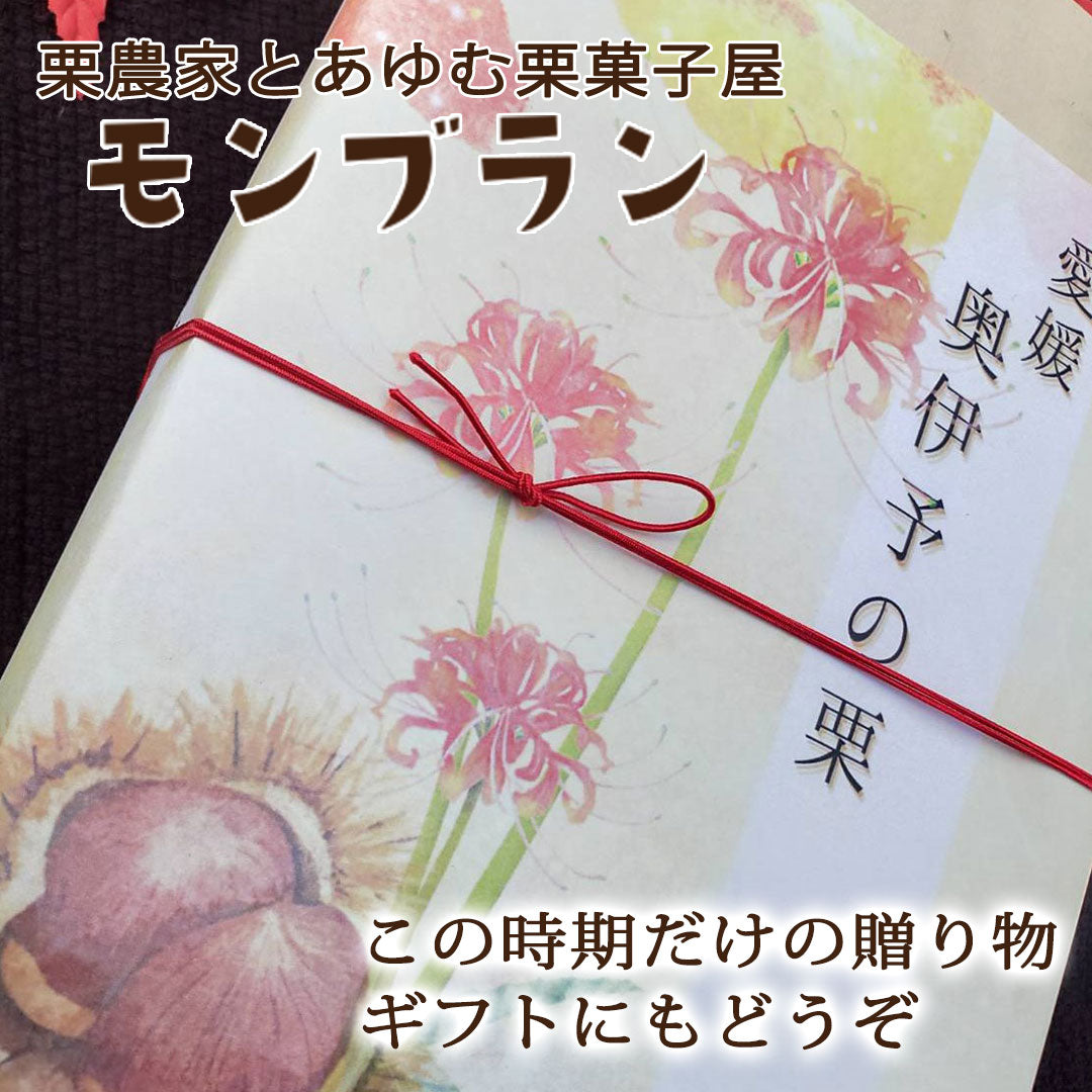 【愛媛県産】大きな生栗 サイズ3L以上 1kg入 送料込 ※注文締め切り9月10日まで