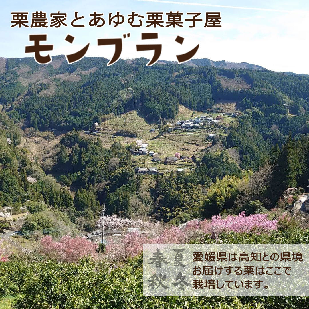 愛媛県産】大きな生栗 サイズ3L以上 2kg入 送料込 ※注文締め切り9月15