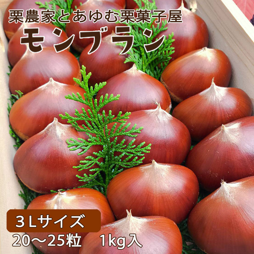 【愛媛県産】大きな生栗 サイズ3L以上 1kg入 送料込 ※注文締め切り9月10日まで